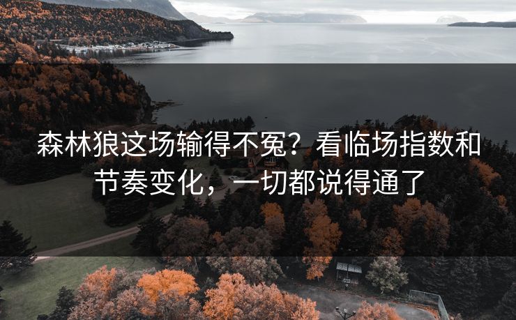 森林狼这场输得不冤？看临场指数和节奏变化，一切都说得通了