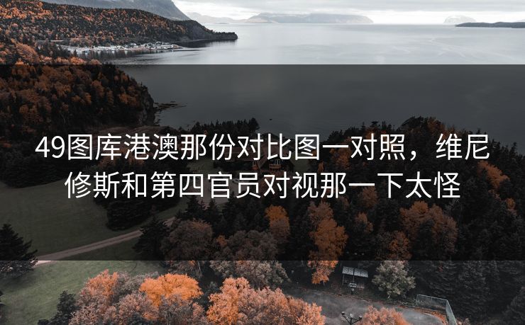 49图库港澳那份对比图一对照，维尼修斯和第四官员对视那一下太怪