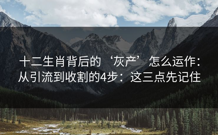 十二生肖背后的‘灰产’怎么运作：从引流到收割的4步：这三点先记住