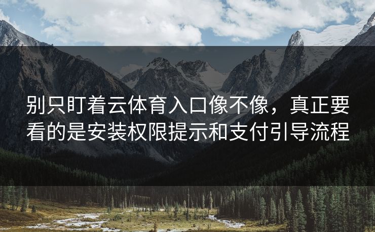 别只盯着云体育入口像不像，真正要看的是安装权限提示和支付引导流程
