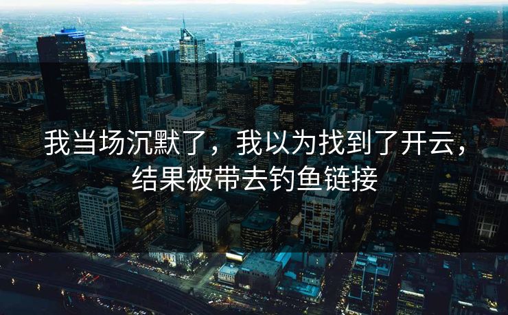我当场沉默了，我以为找到了开云，结果被带去钓鱼链接