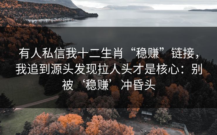 有人私信我十二生肖“稳赚”链接，我追到源头发现拉人头才是核心：别被‘稳赚’冲昏头