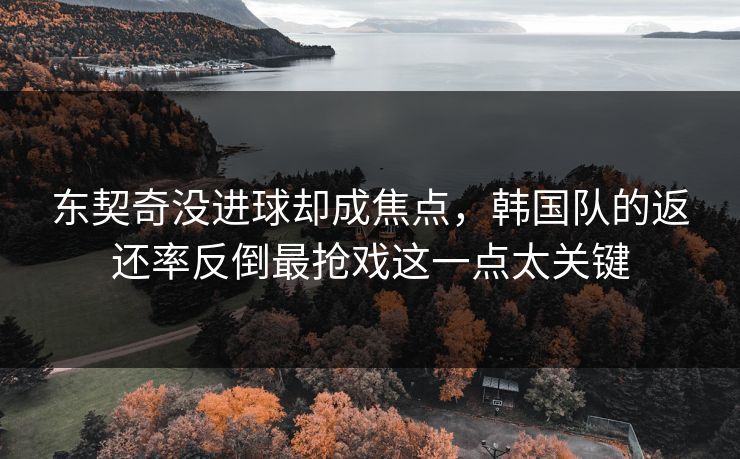 详细阅读:东契奇没进球却成焦点,韩国队的返还率反倒最抢戏这一点太关键 东契奇没进球却成焦点,韩国队的返还率反倒最抢戏这一点太关键